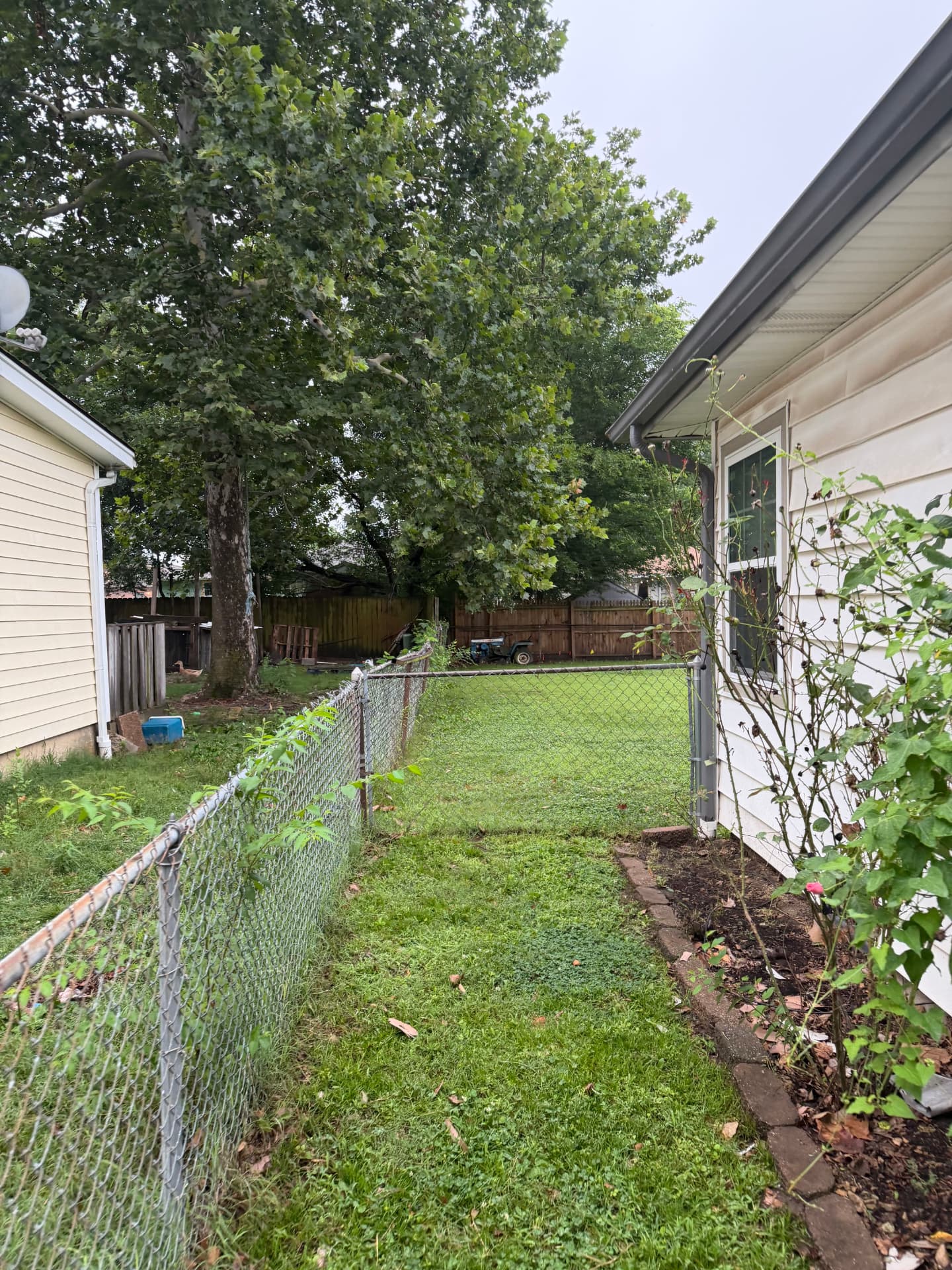 Chain link fence and gate beside a residential side yard