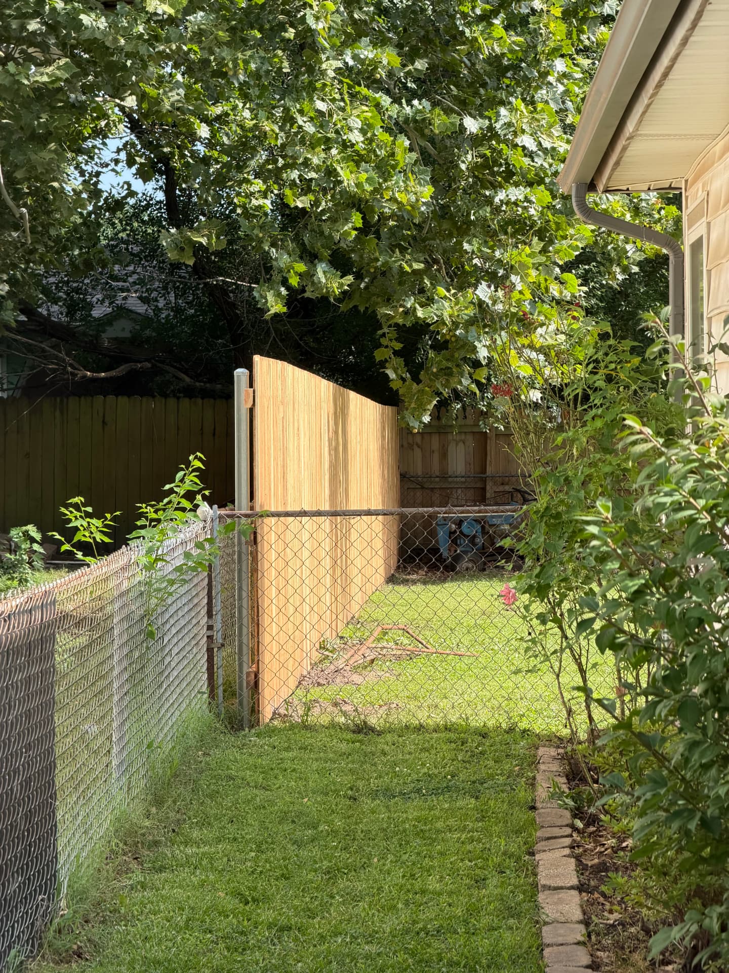 New wood privacy fence in a residential yard behind an existing chain link gate